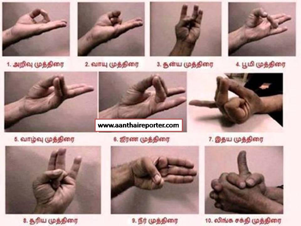 உடல் ஆரோக்கியத்துக்கு உதவும் முத்திரைகள்  பத்து !