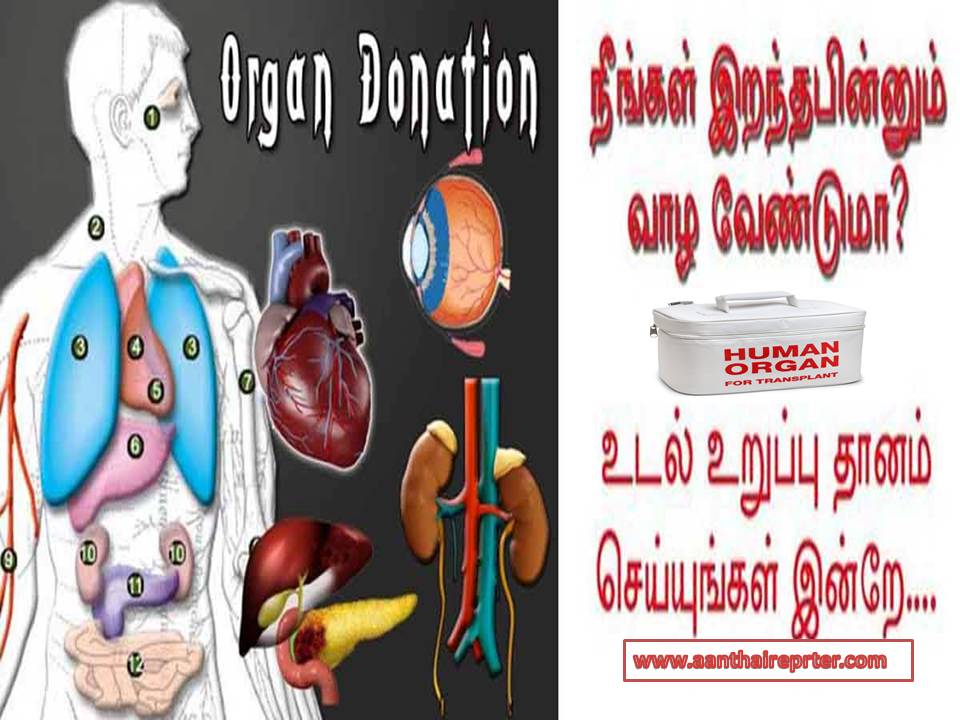 உலக உடல் உறுப்பு தான விழிப்புணர்வு தினம் – ஆகஸ்ட் 13