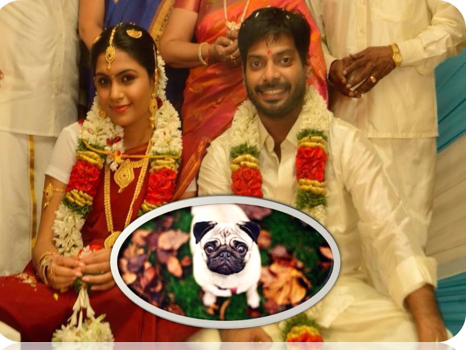 கல்யாணம் + ஃப்ர்ஸ்ட் நைட் பாடல் காட்சியில் நடித்த நிஜ நாய்க்குட்டிகள்! – ஆல்பம்