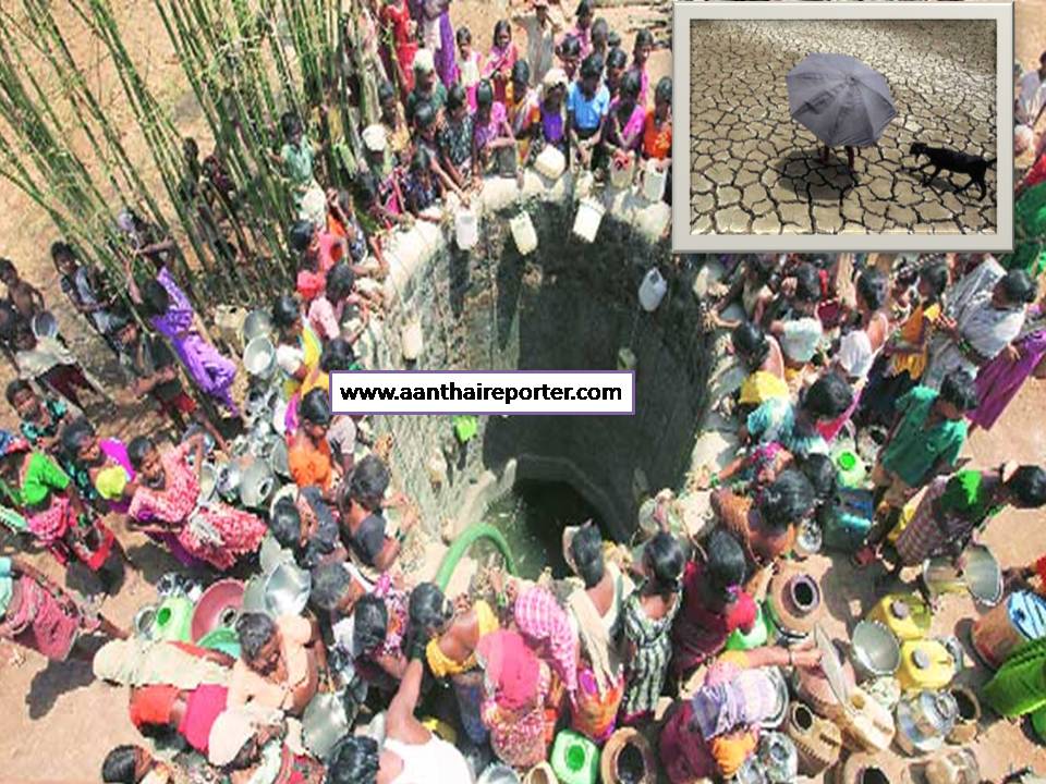 வறண்டு போன நீர் நிலைகளின் எண்ணிக்கை எகிறுது! – இதனால் கால் நடை தீவனத்திற்கும் தட்டுப்படு!