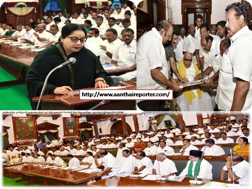 ஜெயலலிதா, கருணாநிதி, ஸ்டாலின் எல்லாரும் எம் எல் ஏ. ஆயாச்சு!!