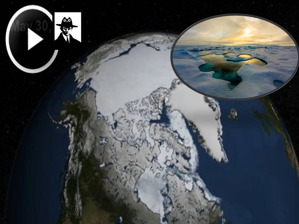 ஆர்க்டிக் பெருகடலில் ஐஸ் காணாமல் போய் விடும்!
