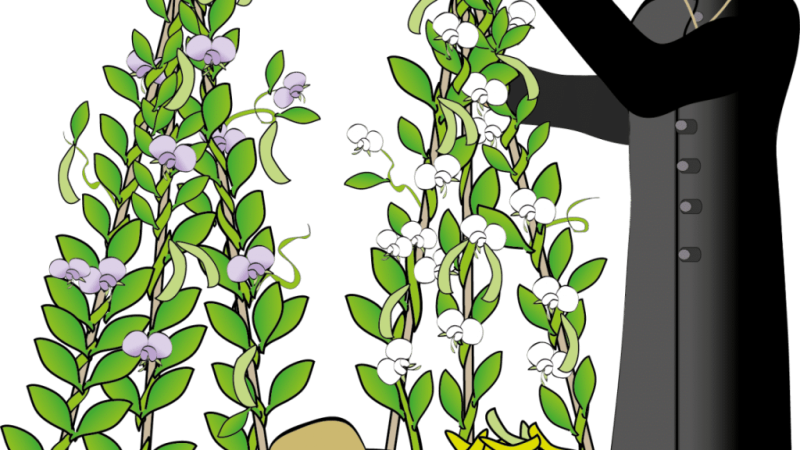 கிரிகோர்  மெண்டல்!- கொஞ்சம் டீடெய்ல்!