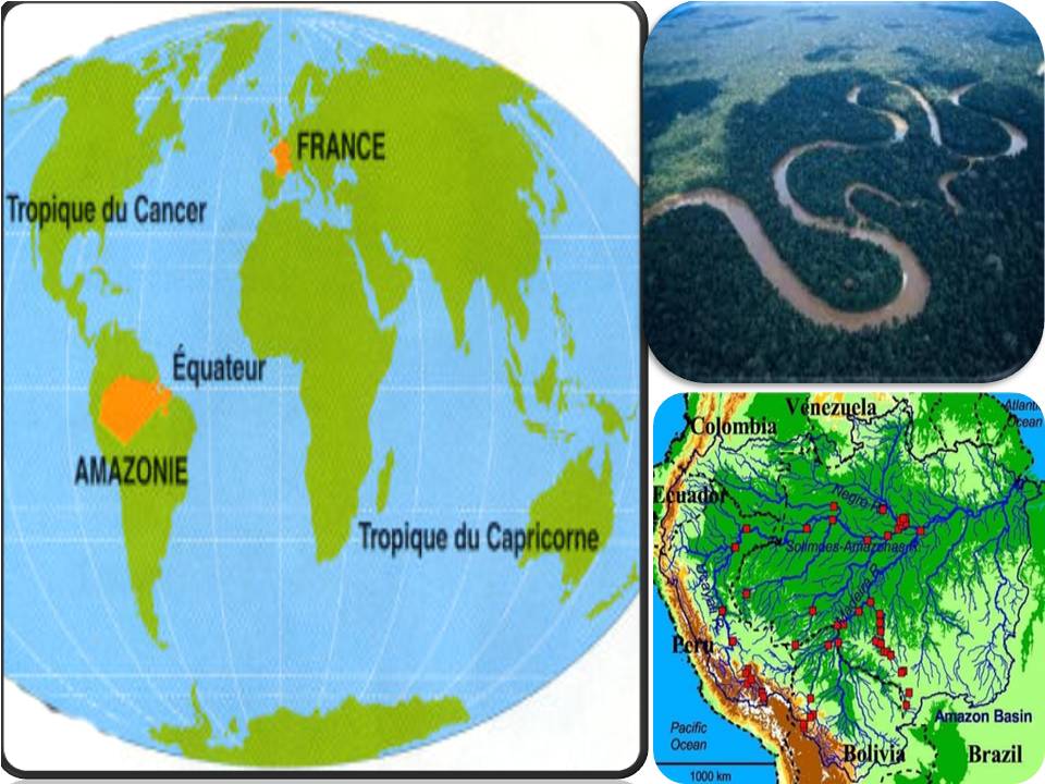 அமேசான் என்கிற ஆச்சர்யம்!