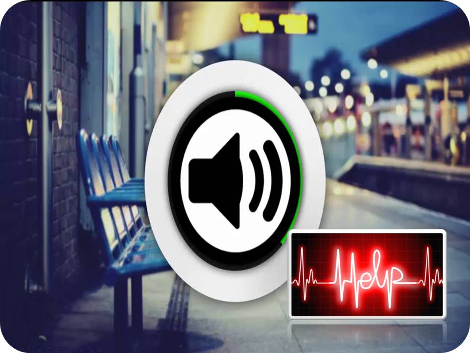 உயிருக்கு உலை வைக்கும் டிராபிக் இரைச்சல்/ஒலி!