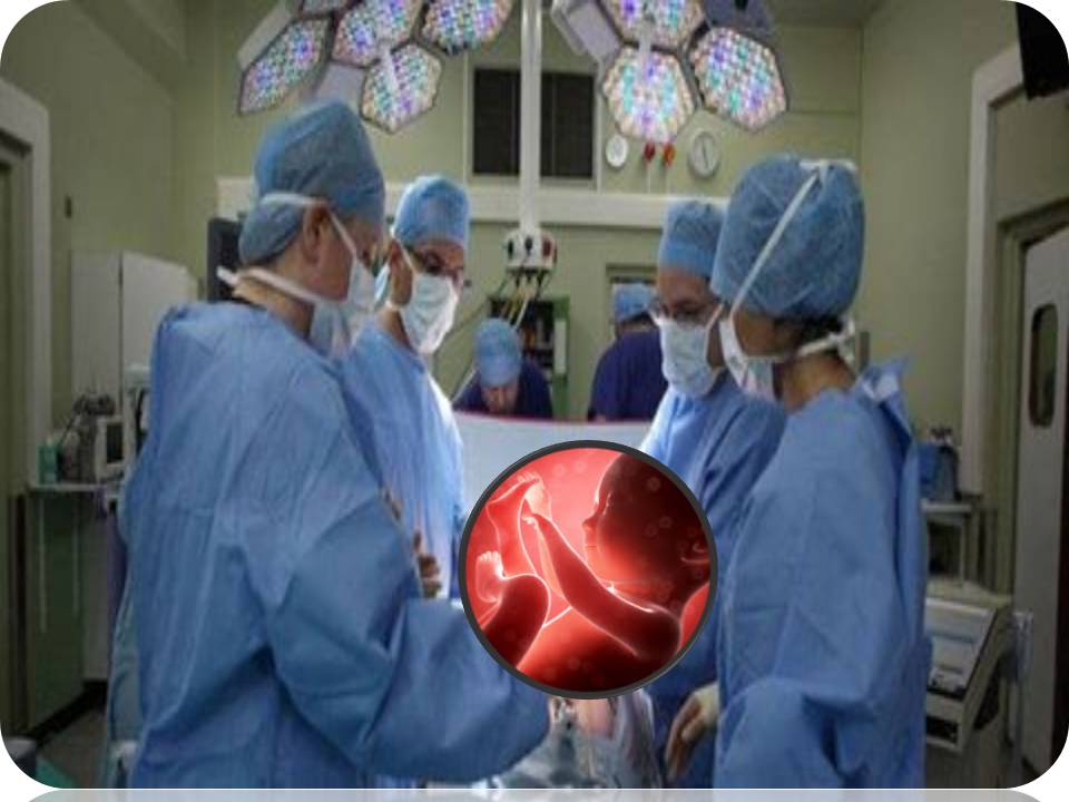 கருவறைக்கு சில துளி கண்ணீர் மட்டுமே காணிக்கை!