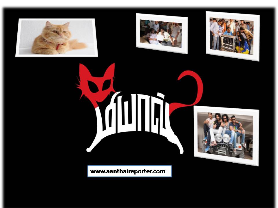 காமெடி + திரில்லரான படம் –  ‘மியாவ்’- ஸ்டில்ஸ்!