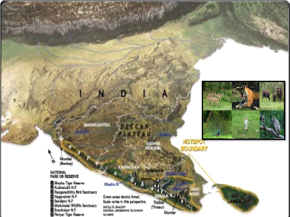 நம்ம மேற்குத் தொடர்ச்சி மலையை கவனிப்பார் யாருமில்லையா?