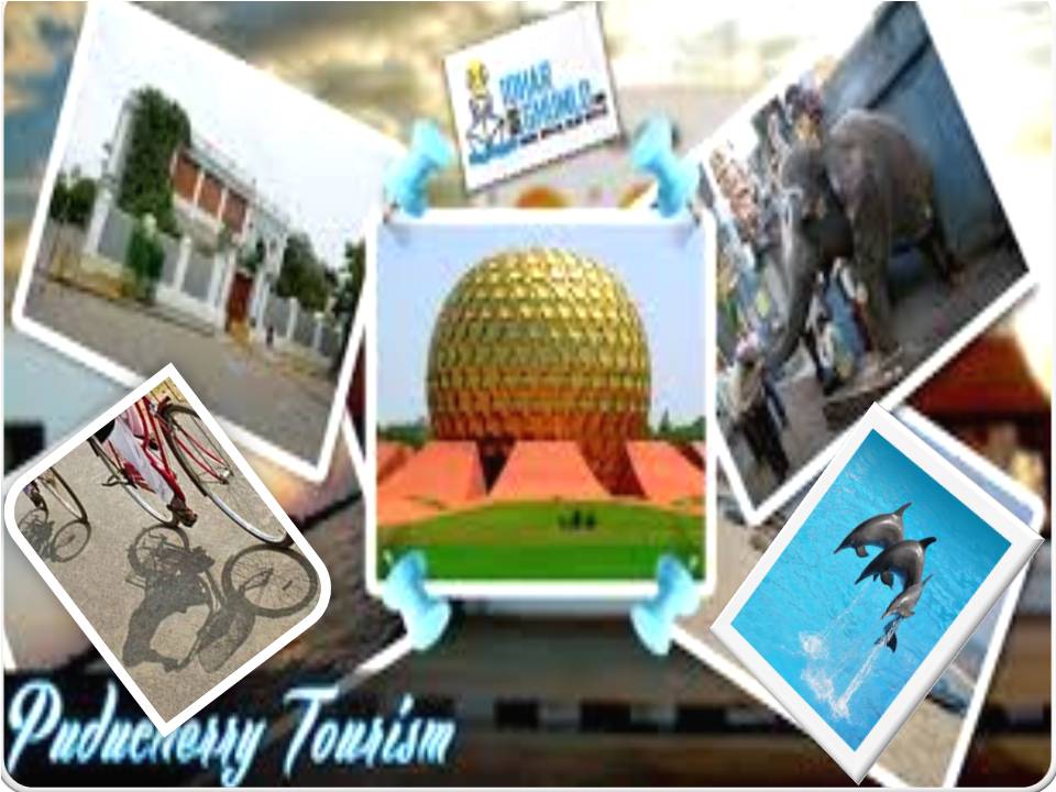 டால்பின் சுற்றுலா ; காட்டுக்குள் சைக்கிள் பயணம்! – புதுச்சேரியின் அசத்தல் டூரிஸ்ட் பிளான்!