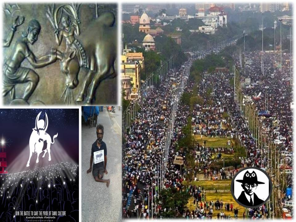 ஜல்லிக்கட்டு போராட்டக்காரர்கள் இப்போதைக்கு கலைவதுதான் சரி!