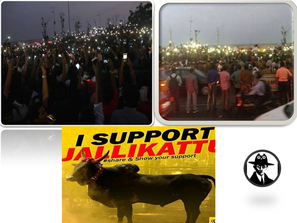 ஜல்லிக்கட்டு விவகாரம் : மெரினா உள்பட தமிழகமெங்கும் தொடரும் பதட்டம்