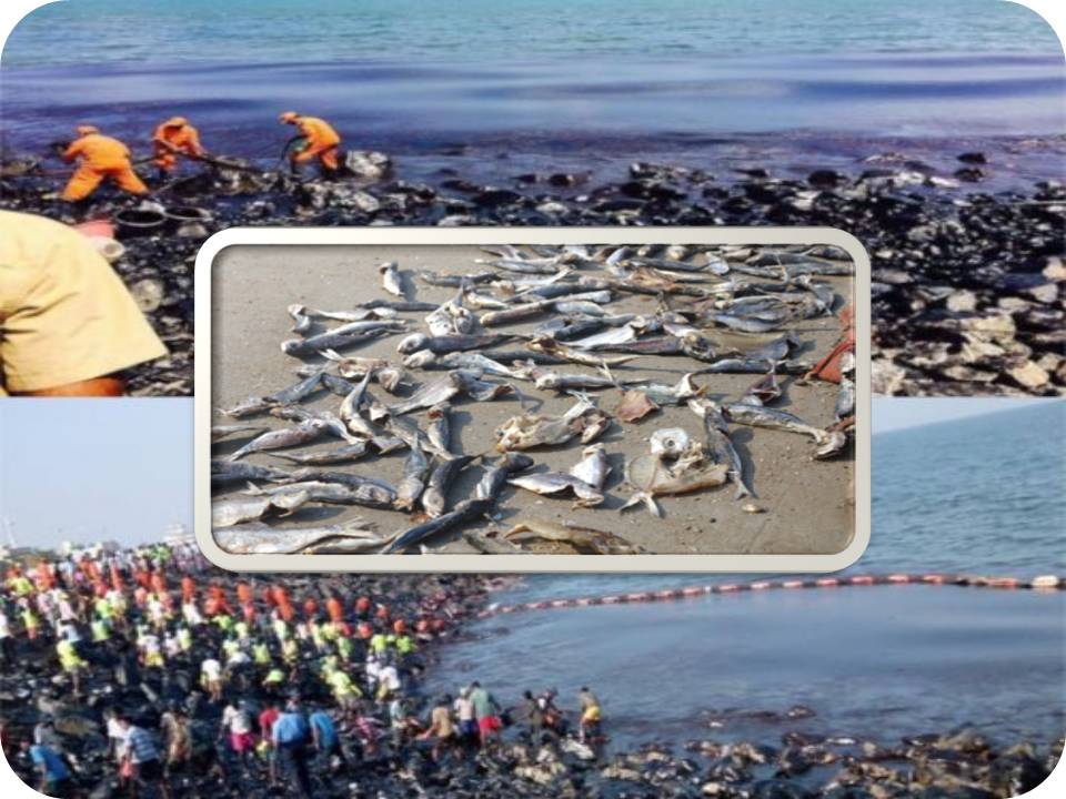 எண்ணூர் ஏரியாவிலே பிடிக்கப்பட்ட மீன்களை சாப்பிடாதீங்க!