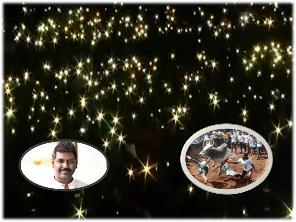 ஜல்லிக்கட்டு :  பிப்ரவரி 18ம் தேதி வெற்றிக் கொண்டாட்டம் – லாரன்ஸ் வேண்டுகோள்