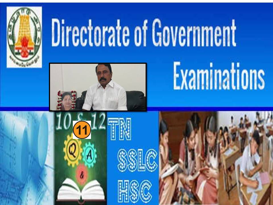 பள்ளி கல்வியின் + 1 & + 2 பாடத் திடங்களில் மாற்றம் குறித்து அரசாணை வெளியானது!