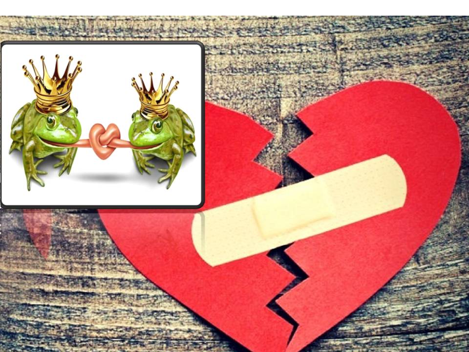 இணை இருந்தால் இதய நோய் பிரச்னை கண்ட்ரோலாகும்! – ஆய்வு முடிவு