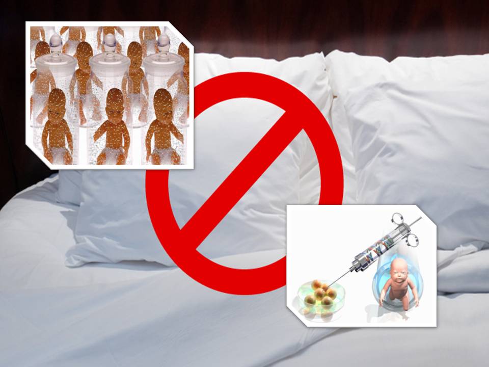 இனி இனப்பெருக்கத்திற்கு செக்ஸ் வேண்டாம் – லேப்பில் குழந்தையை வடிவமைத்து கொள்ளலாம்!