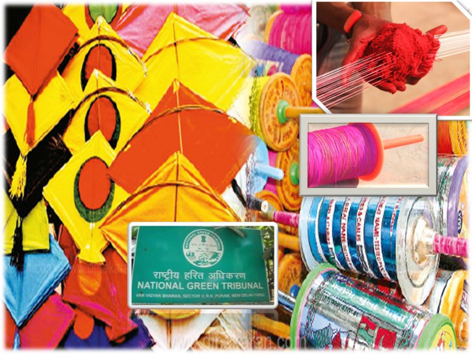 பீட்டா கோரிக்கையை ஏற்று மாஞ்சா நூலுக்கு நாடெங்கும் தடை!