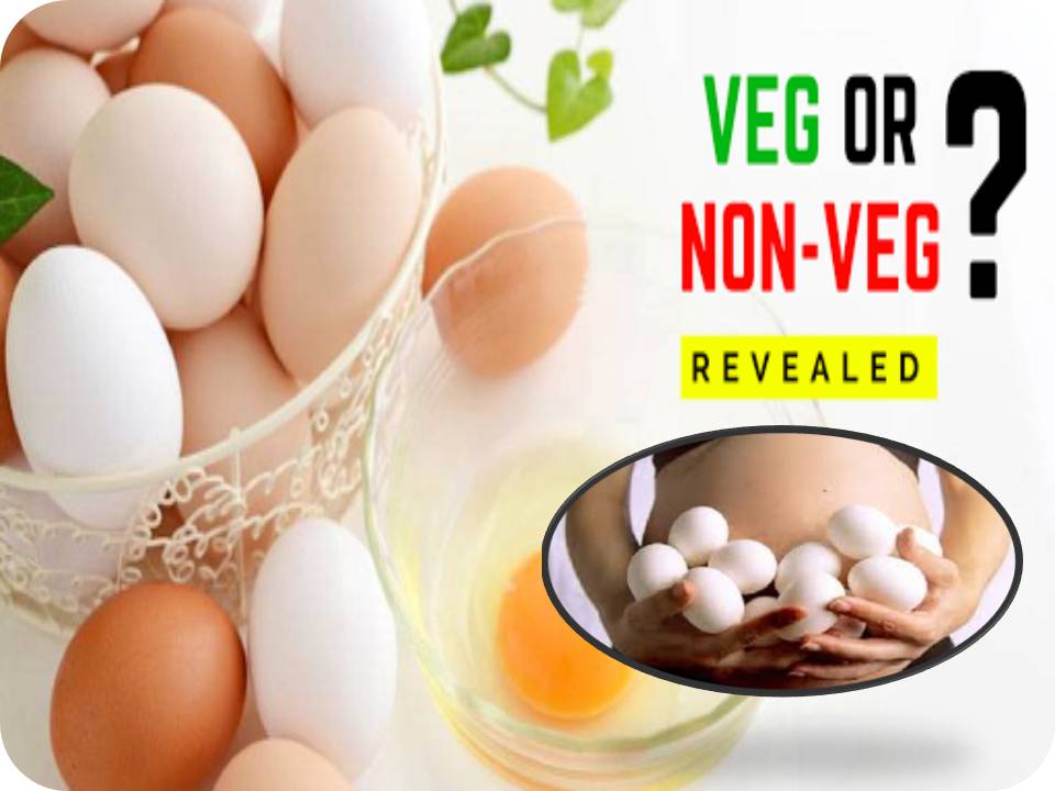 முட்டை சைவம்தான்.. சைவம்தான்.. சைவம்தான்!- ஆய்வு முடிவு