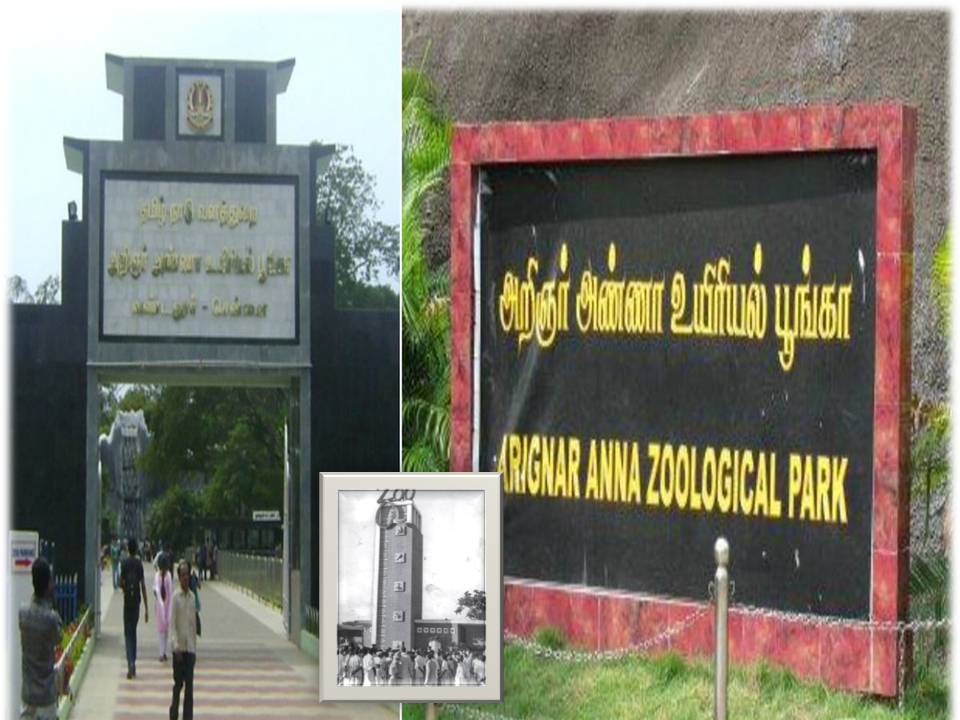 நம்ம சென்னை வண்டலூர் பூங்கா பற்றி இம்புட்டு விஷயம் தெரியுமா?