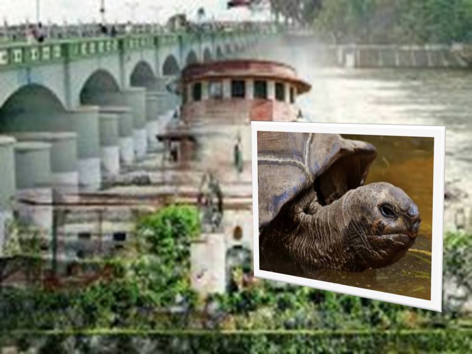 மத்திய அரசு தாக்கல் செய்த காவிரி வரைவு செயல் திட்டமே முரணானது!