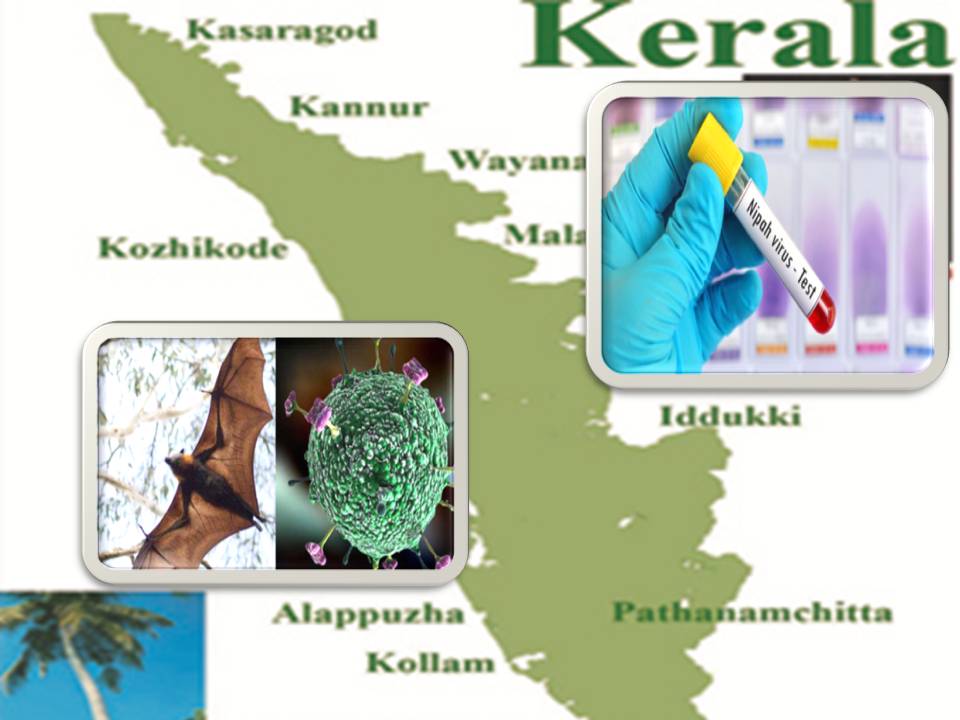 தமிழகத்தில் நிபா வைரஸ் நோய் வரவில்லை- சுகாதாரத்துறை செயலாளர் தகவல்