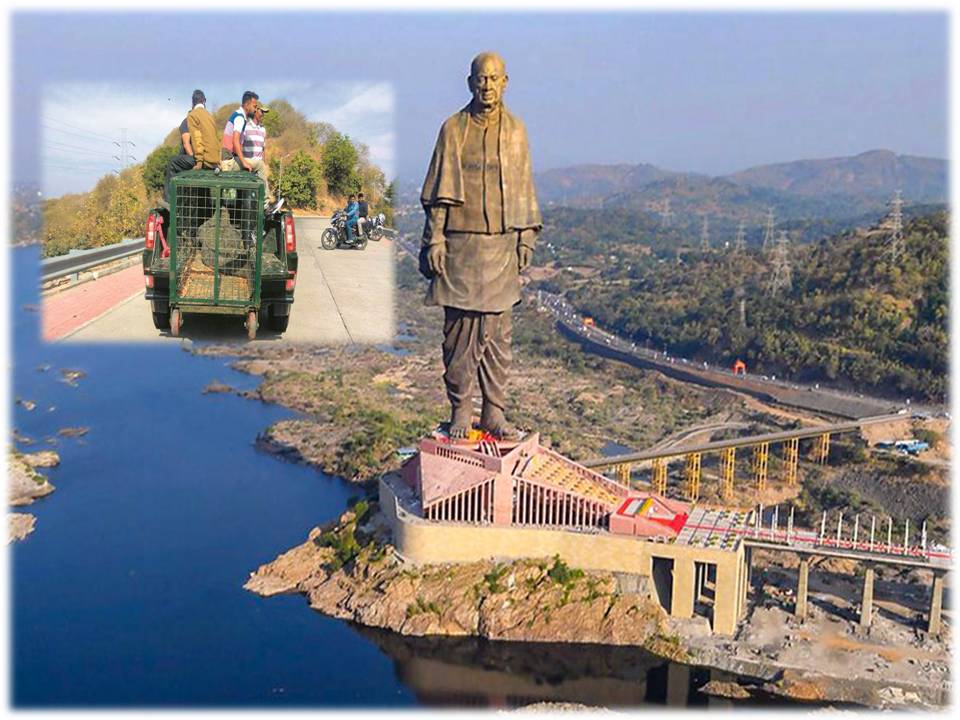 குஜராத் :பட்டேல் சிலையால் அரசுக்கு ரூ.18.47 கோடி வருவாய் ! ஆனா.. பாருங்க..?