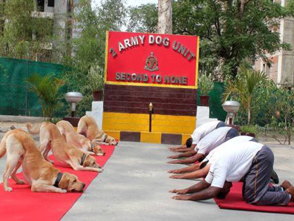 ’யோகா டே’ என்ற பெயரில் செலவான தொகை ரூ 140 கோடி மட்டுமே!