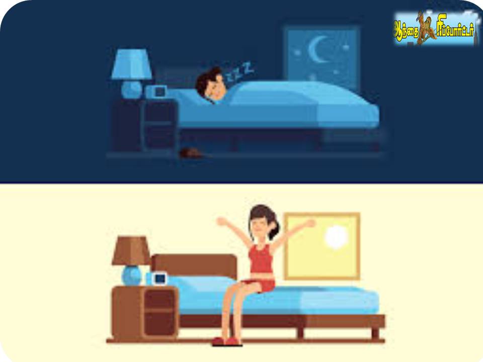 அலுவலகத்தில் தூக்க அறை ஒன்று கட்டாயம் வேண்டும்! – சர்வே ரிசல்ட்