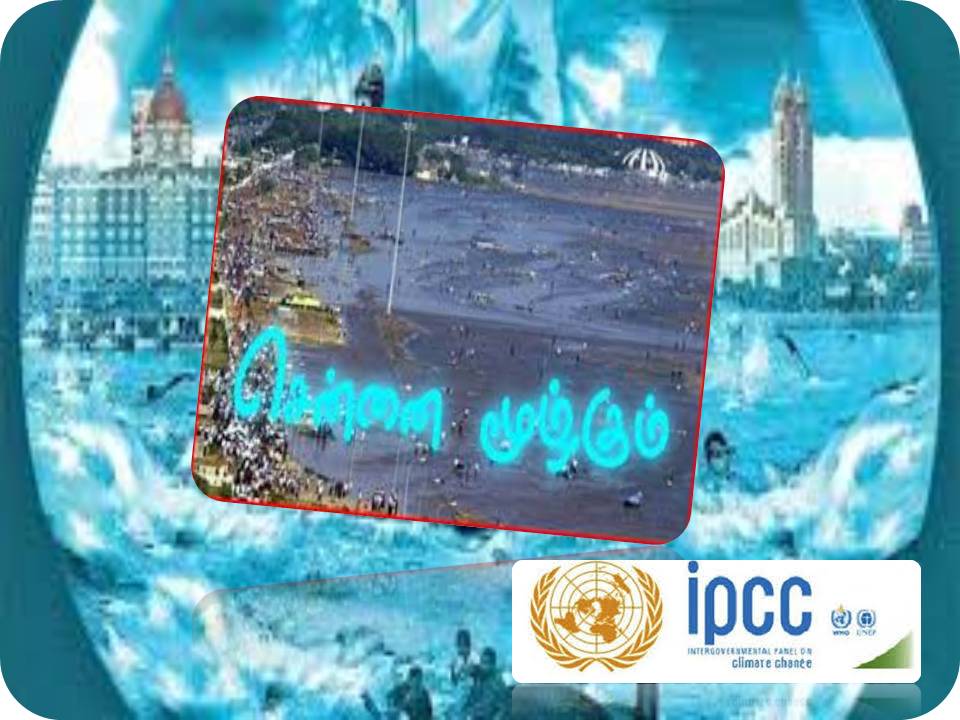 கடல் மட்டம் உயர்வதால் சென்னை, மும்பை உள்ளிட்ட நான்கு முக்கிய நகரங்களுக்கு பேராபத்து!