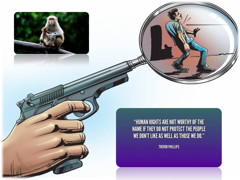 மைனர் குஞ்சுகளும் – மனித உரிமை ஆர்வலர்களும்….!