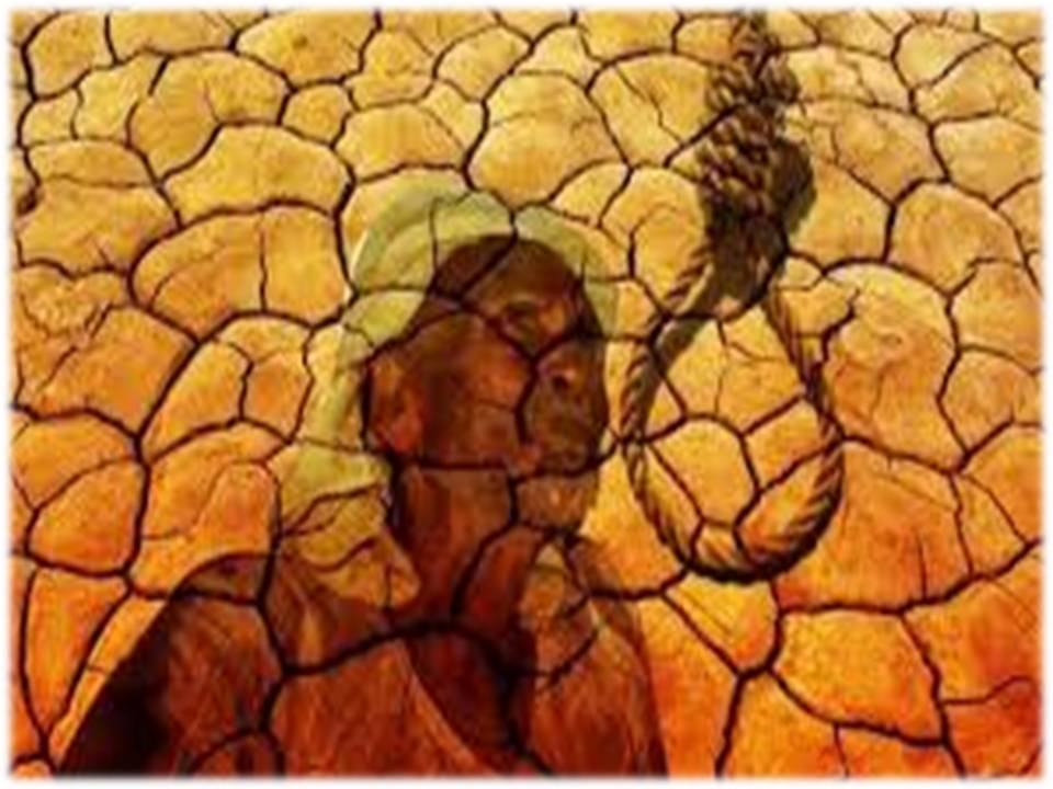 தமிழக விவசாயிகள் தற்கொலைகள் : இந்திய அளவில் இரண்டாமிடம்!