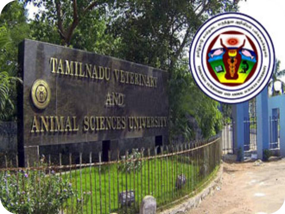 தமிழ்நாடு கால்நடை மற்றும் விலங்கு அறிவியல் பல்கலையில் பணிவாய்ப்பு!