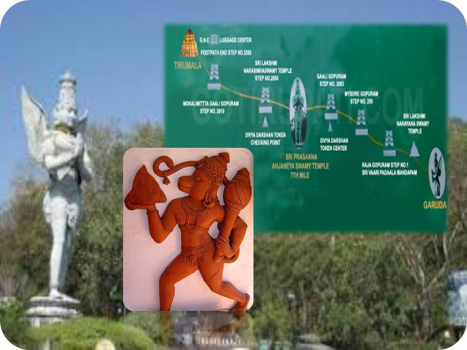 அஞ்சனாத்ரி மலையில் அனுமன் பிறந்தார்? ஆதாரத்துடன் அறிவிக்கிறது தேவஸ்தானம்!