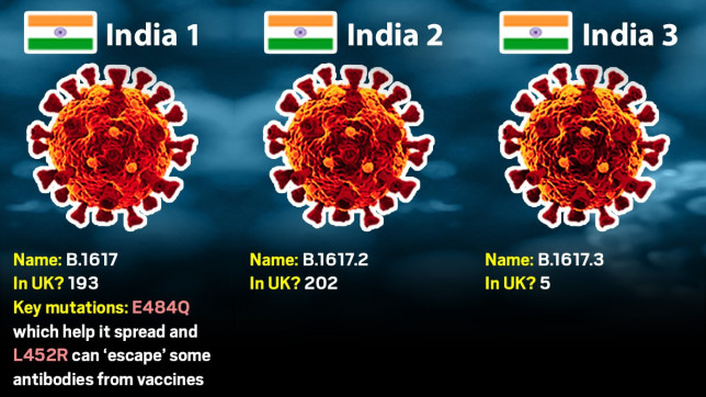 பி.1617 வகை கொரோனா வைரஸ் முதன்முதலில் இந்தியாவில்தான் வந்திச்சாம்!