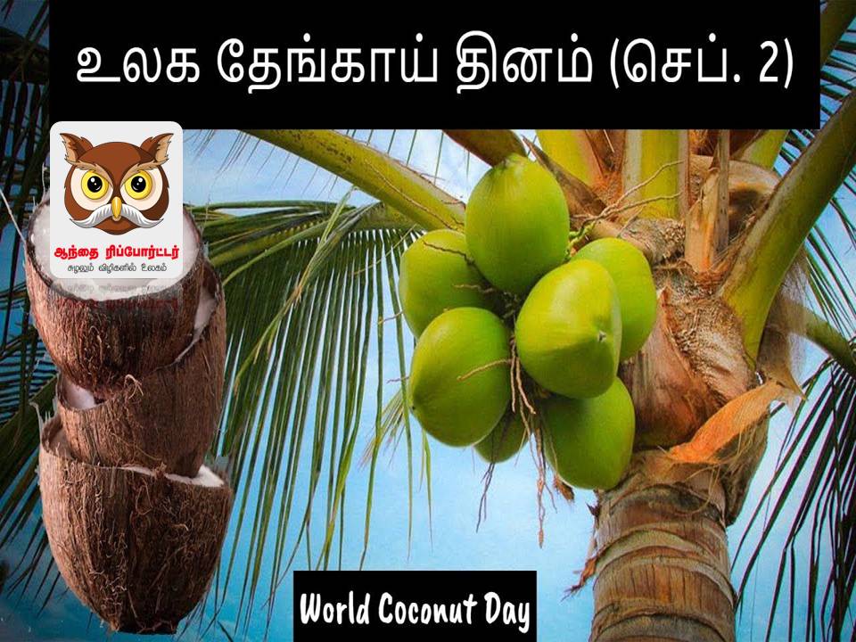 சர்வதேச தேங்காய் தினம்!