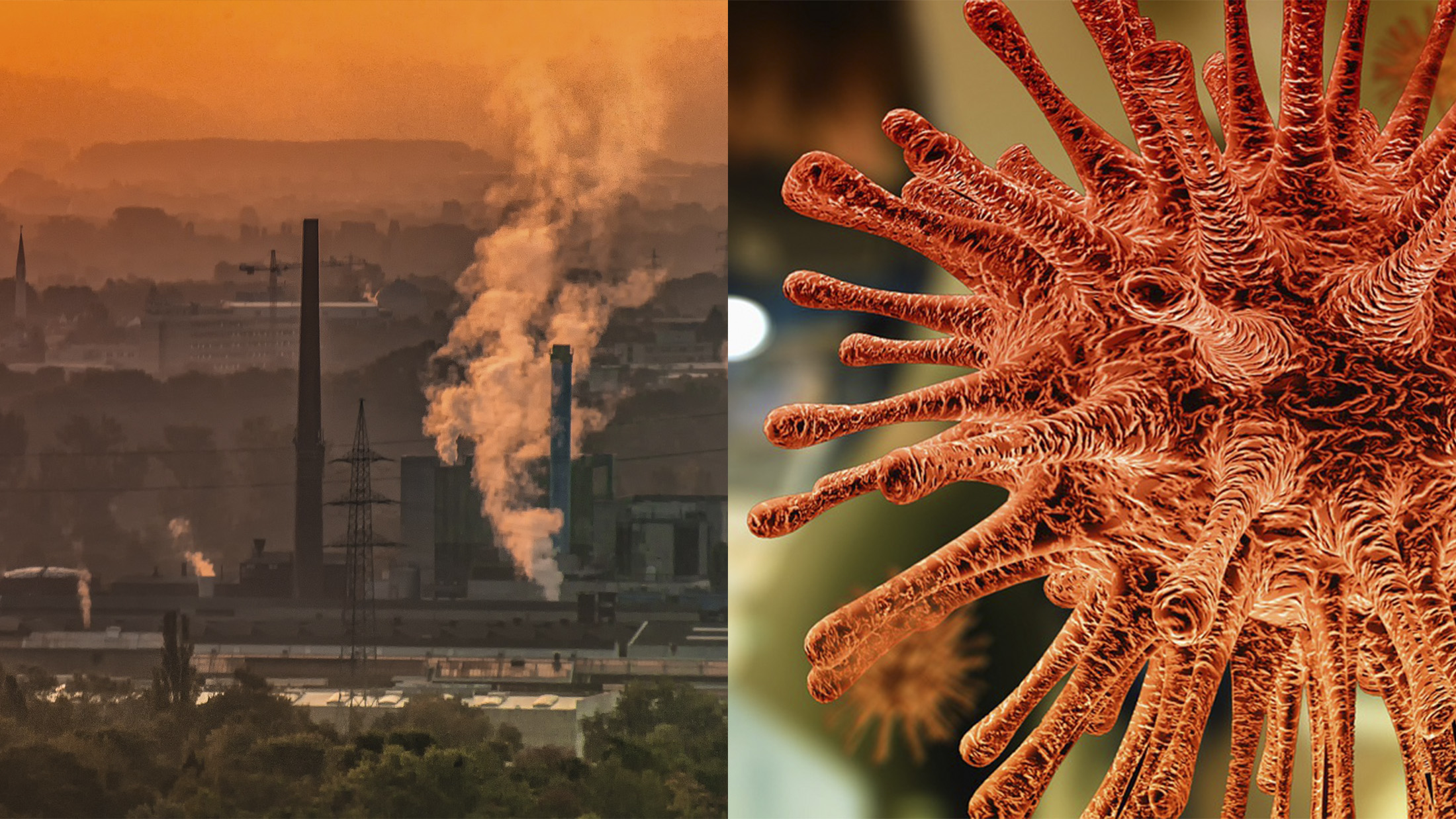 கொரோனா பெருந்தொற்று ஏற்படுத்திய உயிர் நாசத்தை விட மிக அதிகமாக மாசு தூசியால் விளைகிறது!