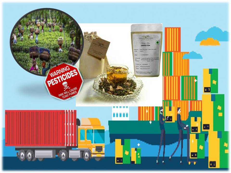 இந்தியத் தேயிலைகளில் பூச்சிக் கொல்லி மருந்து அதிகம் என்பதால் விளைந்த பிரச்னை!