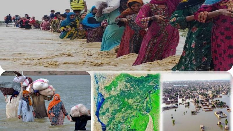 பாகிஸ்தானுக்கு இந்தியா உதவ வேண்டுமா? பாம்புக்கு பாலா?