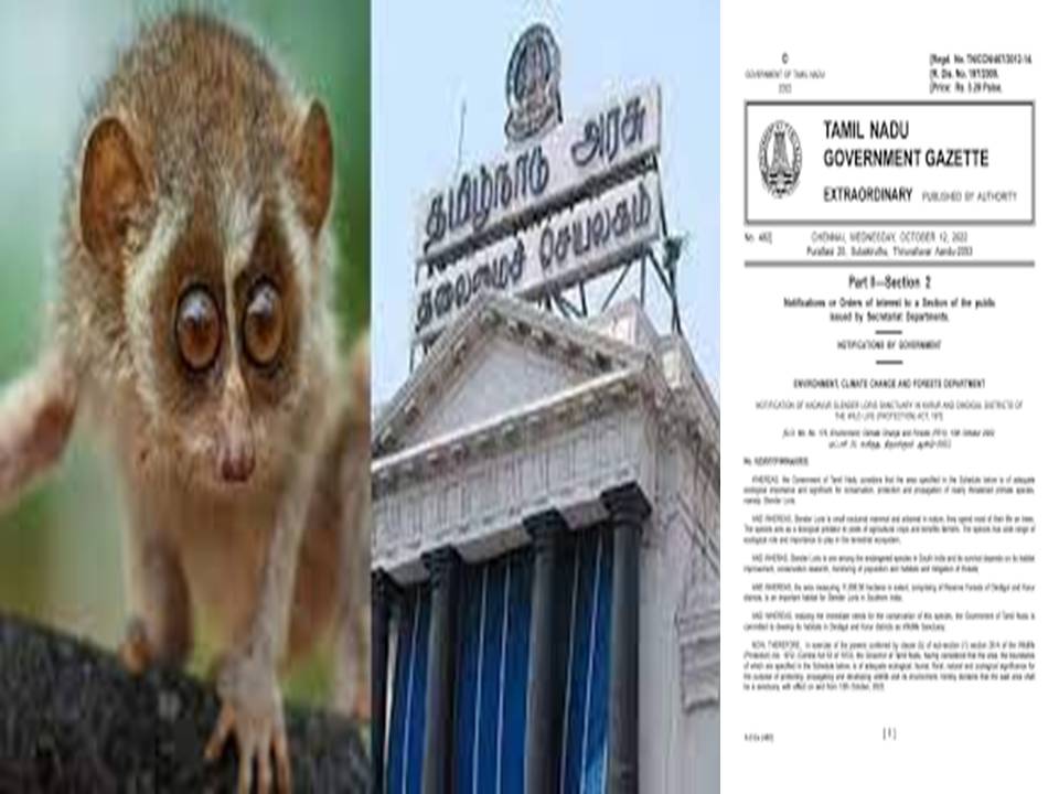 இந்தியாவின் முதல் தேவாங்கு சரணாலயம் கரூர், திண்டுக்கல் மாவட்டங்களில் அமையும் – தமிழக அரசு அறிவிப்பு