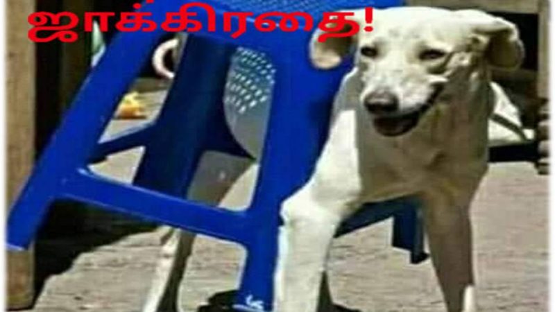 சீன கைக்கூலிகள் ஜாக்கிரதை!