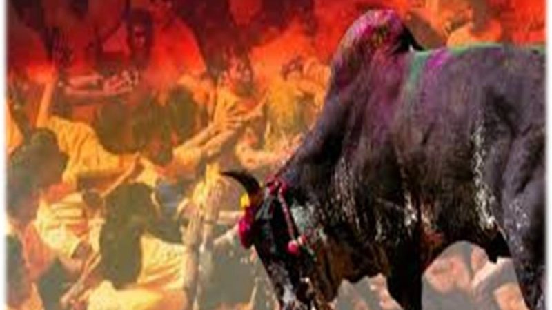 மாடுபிடி வீரர் மரணமும் ; உணர்ச்சிப் பிழம்புகளும்..!