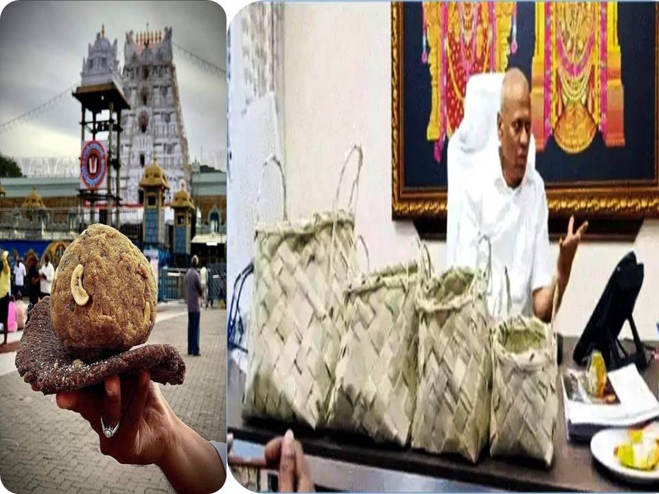 திருப்பதி கோயில் லட்டு பிரசாதம் : இனி ஓலைப்பெட்டியில் வழங்க முடிவு!