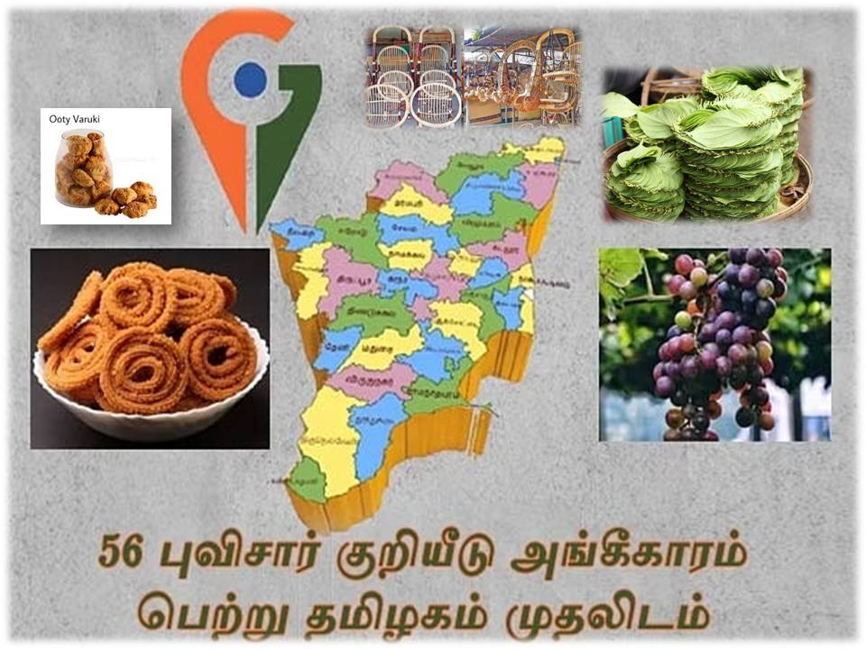 மணப்பாறை முறுக்கு, ஊட்டி வர்க்கி, கம்பம் பன்னீர் திராட்சை உட்பட 11 பொருட்களுக்கு புவிசார் குறியீடு!