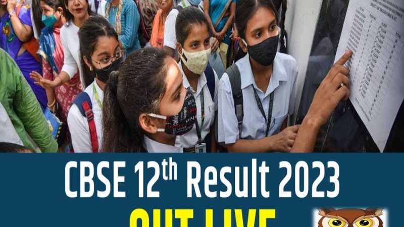 சிபிஎஸ்இ பிளஸ்–2 தேர்வு முடிவு வெளியீடு!