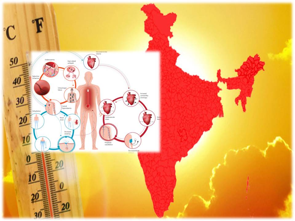 வெப்பம் தொடர்பான நோய்கள் அதிகரிப்பு:  இந்திய நோய் கட்டுப்பாட்டு மையம் அதிர்ச்சி தகவல்!