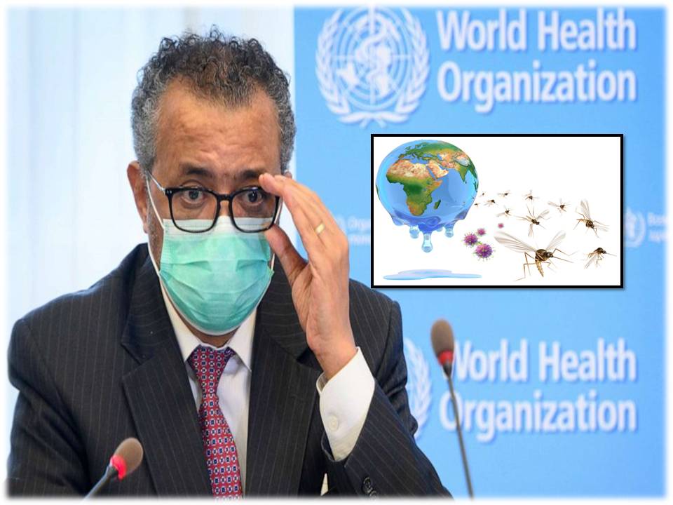 ‘எல் நினோ’  காரணமாக கொரோனாவை விட கடுமையான வைரஸ் உலகைத் தாக்கலாம் – உலக சுகாதார நிறுவனம் எச்சரிக்கை!