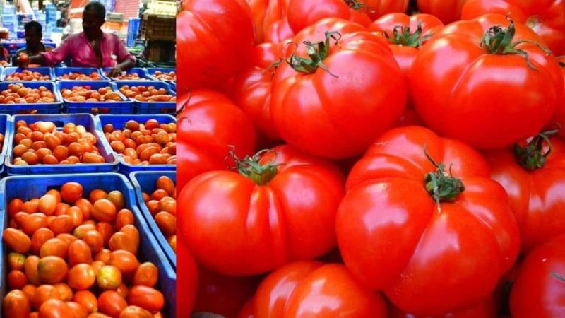தக்காளி விலை உயர்வுக்கு காரணம் இதுவா?
