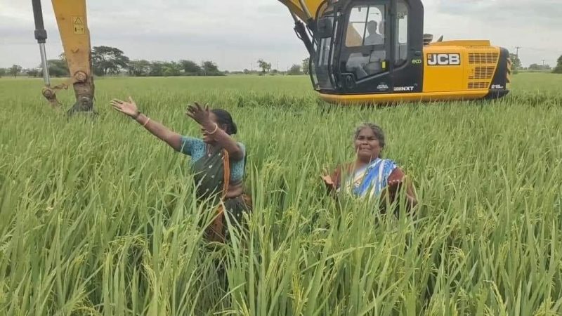 நெய்வேலி விவகாரம். -நமக்குத் தெரிந்த சிலவற்றை  சொல்கிறோம் !