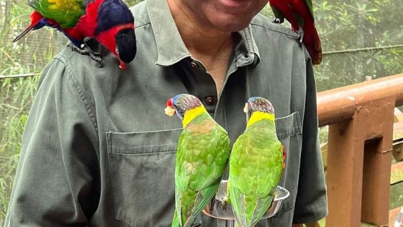 சிங்கப்பூர் அதிபர் தேர்தலில் இலங்கைத் தமிழர் தர்மன் சண்முக ரத்தினம் வெற்றி!