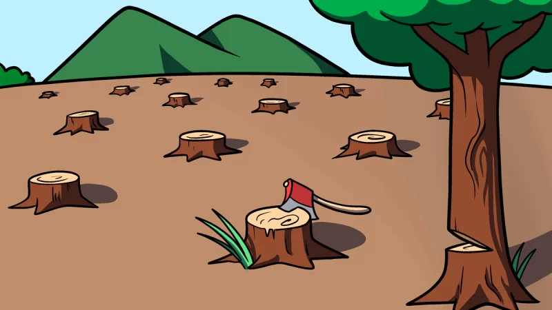 உலக நாடுகள் காடழிப்பைத் தடுக்கும் செயல்பாடுகளில் முன்னேற்றம் காட்டாதது அதிர்ச்சி!